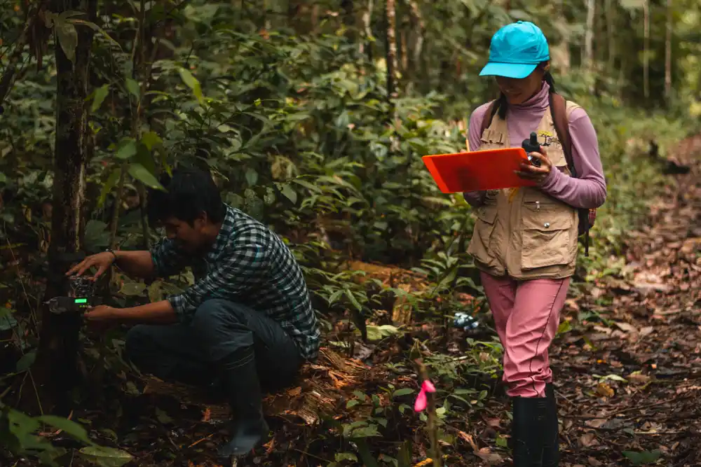 Otključavanje uvida u biodiverzitet iz tropskih Anda