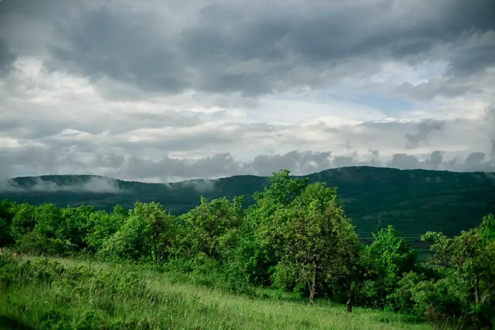 Sutra svežije, popodne naoblačenje sa kišom – temperatura do 30 stepeni