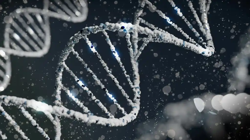 Studija otkriva genetsku osnovu varijabilnosti odgovora na sepsu