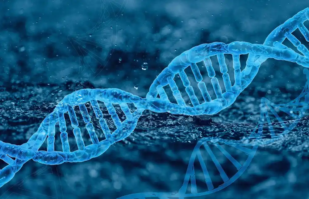 Studija pokazuje da poznavanje uređivanja gena povećava odobravanje bezbednosti GMO