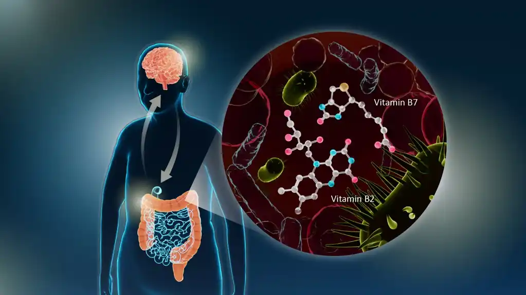 Veza između crevnog mikrobioma i Parkinsonove bolesti ukazuje na potencijalni terapijski put