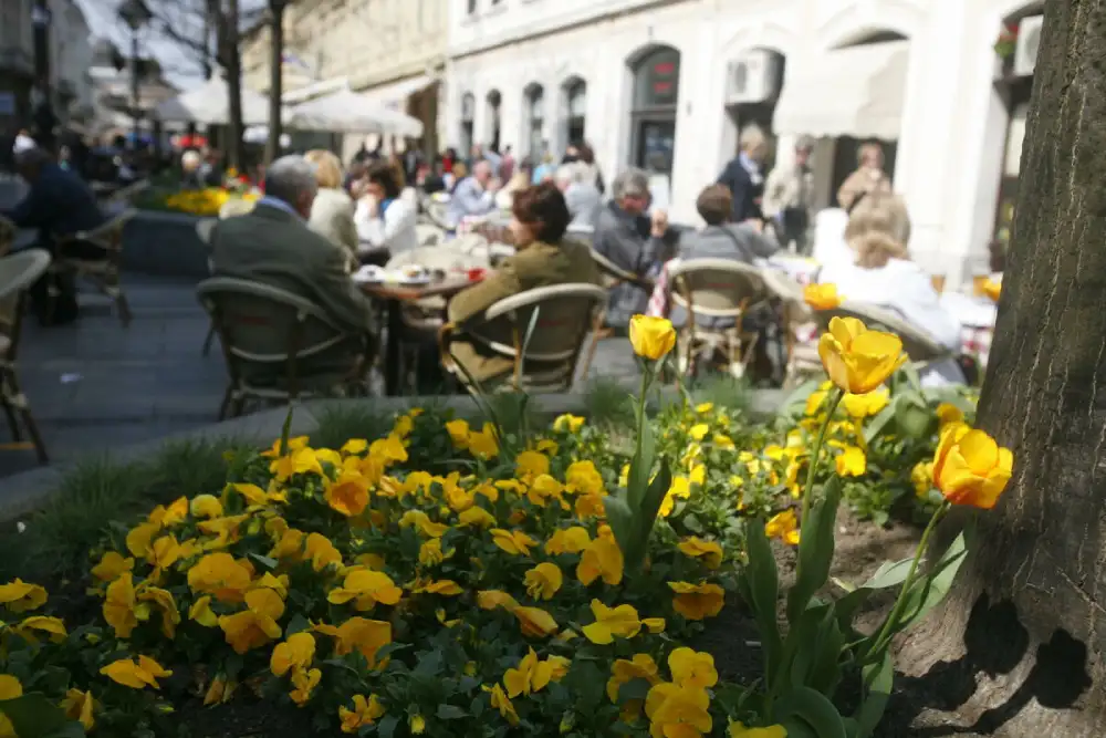 Danas promenljivo oblačno uz sunčane intervale, teperatura do 31 stepen