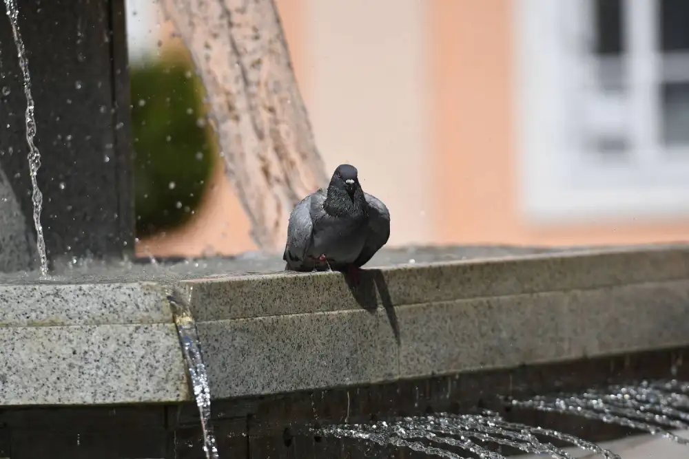 Danas sunčano i toplo, temperatura do 34 stepena