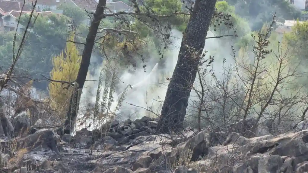 Požar na brdu Gorica u Podgorici ugašeb nakon noćne borbe