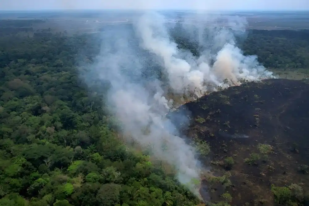 Brazilski Amazon pogođen najgorim šumskim požarima u poslednjih 20 godina