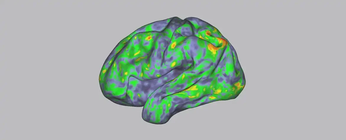 Studija pokazuje da 2D neuronska geometrija leži u osnovi hijerarhijske organizacije sekvenci u ljudskoj radnoj memoriji