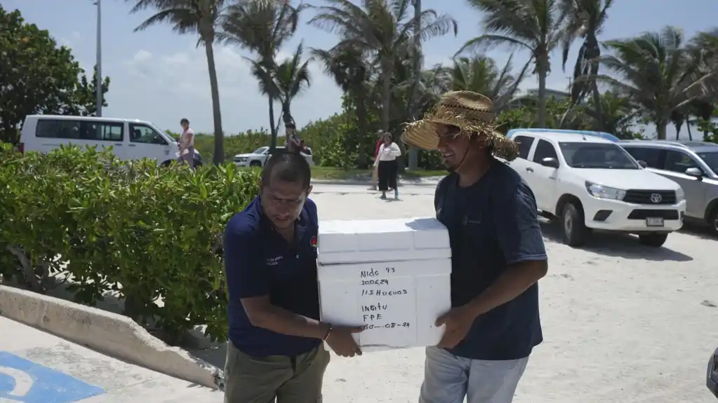 Meksiko evakuiše jaja morskih kornjača sa plaža dok se uragan Beril kreće ka poluostrvu Jukatan