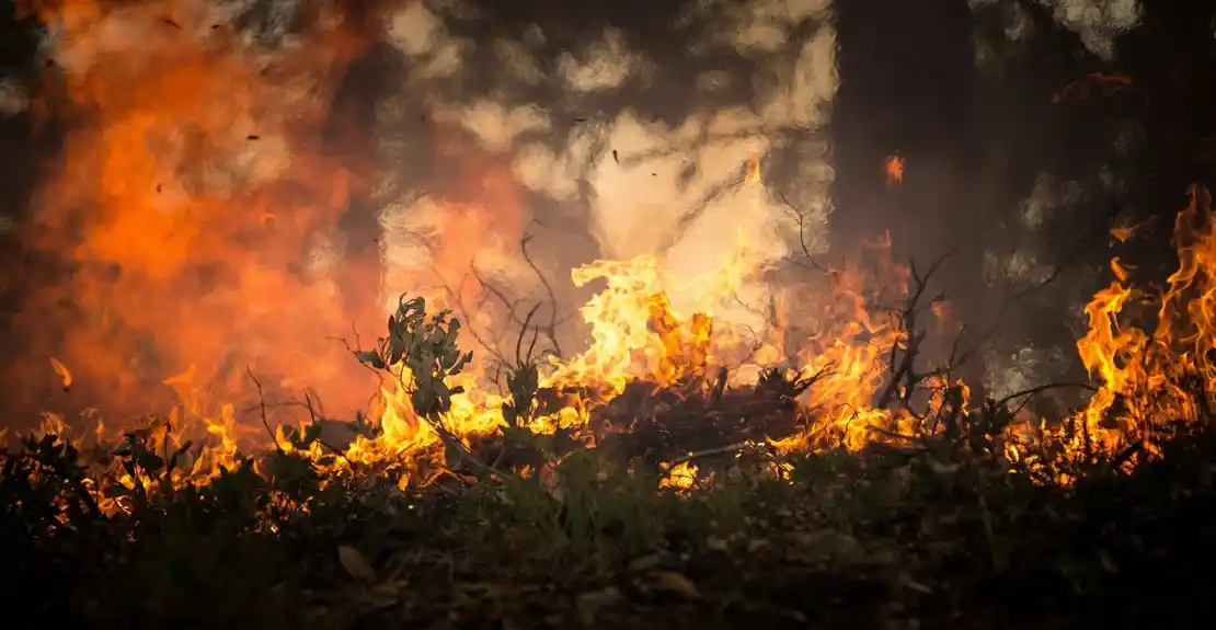 Naučnici koriste veštačku inteligenciju da predvide širenje šumskog požara