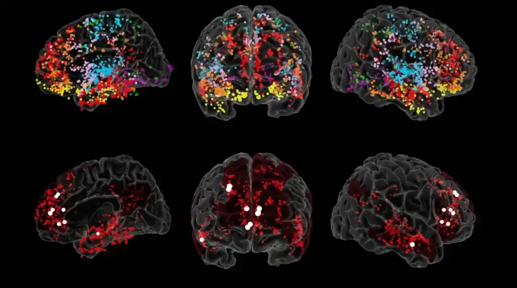 Nova istraživanja otkrivaju neurološku osnovu kreativnog razmišljanja