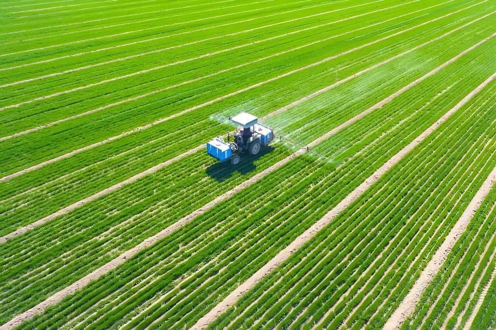 Kako bi „vakcinisanje“ biljaka moglo da smanji upotrebu pesticida i obezbedi globalne zalihe hrane