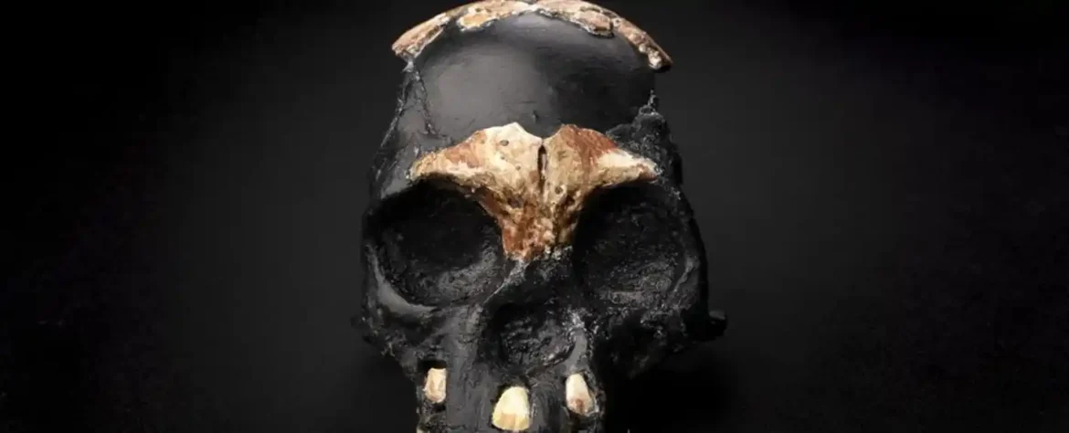 Nova analiza osporava tvrdnje o namernim sahranama kod Homo naledi