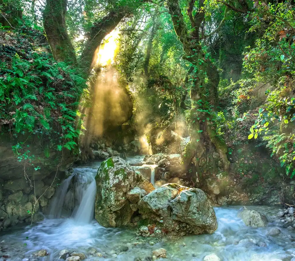 Novi način razmišljanja o ekonomiji mogao bi pomoći u zaštiti Amazonije