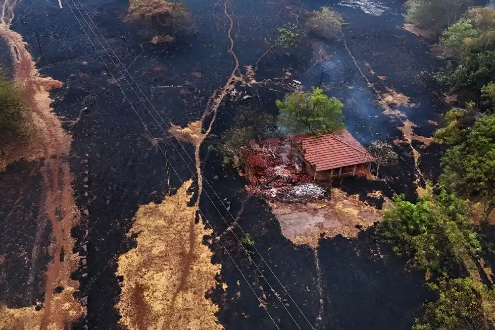 Požari u brazilskoj državi Sao Paulo pod kontrolom