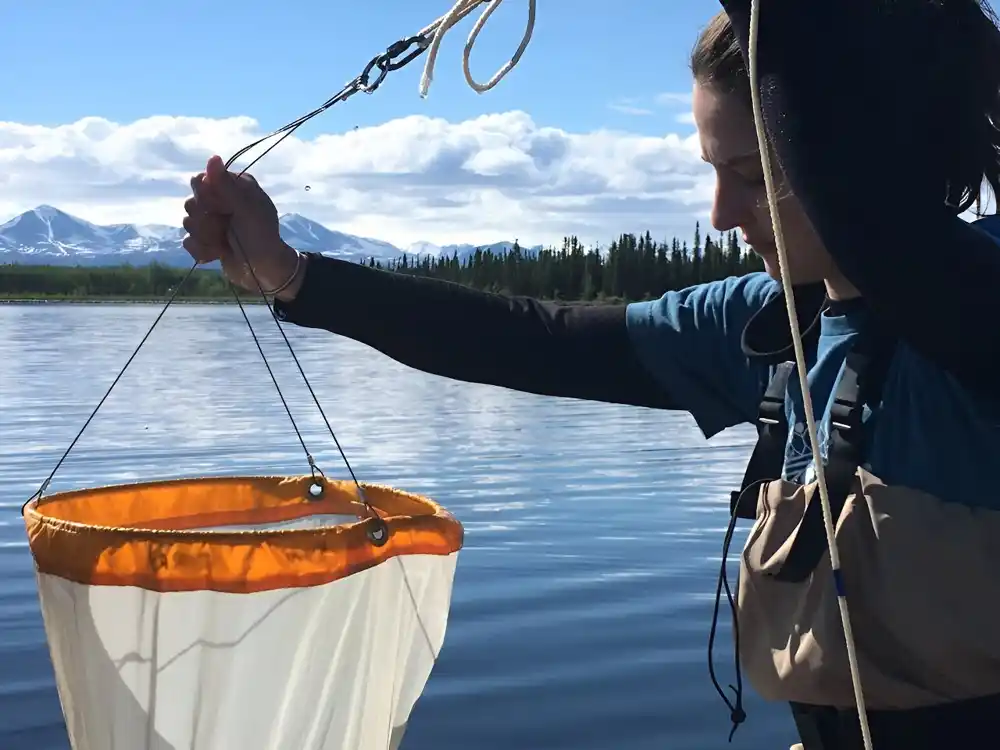 Razumevanje kako ljudska aktivnost utiče na zooplankton je od suštinskog značaja za upravljanje i zaštitu jezerske vode