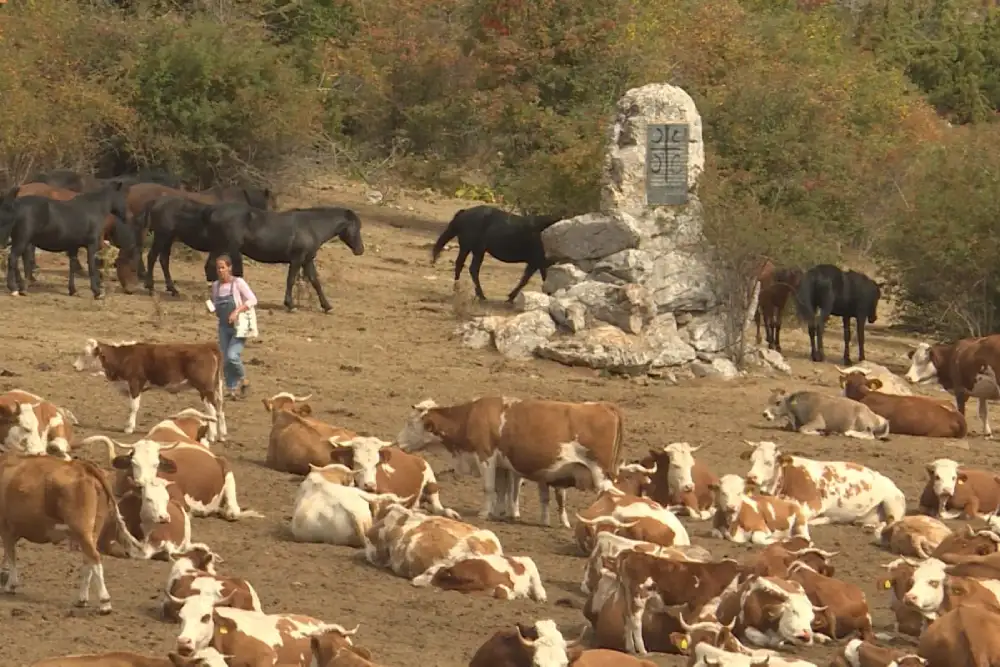 Vojska Srbije pomaže u opštinama ugroženim nestašicom vode