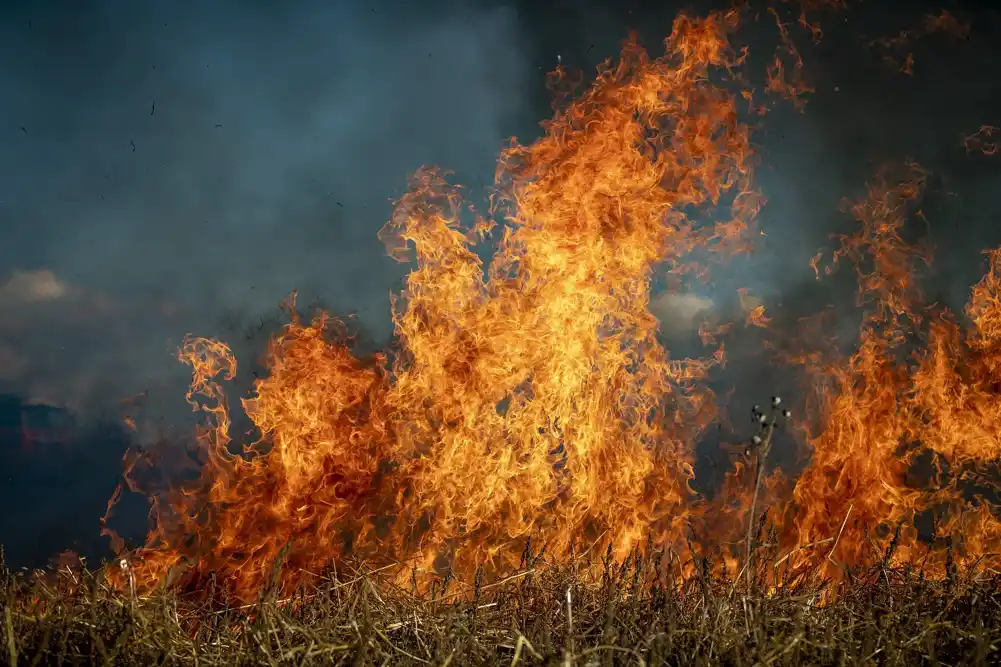 Veliki požar u selu Darosava kod Aranđelovca