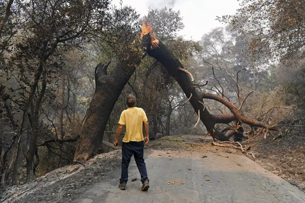 Šumski požari rastu pod klimatskim promenama, a njihov dim preti poljoprivrednicima, kaže studija