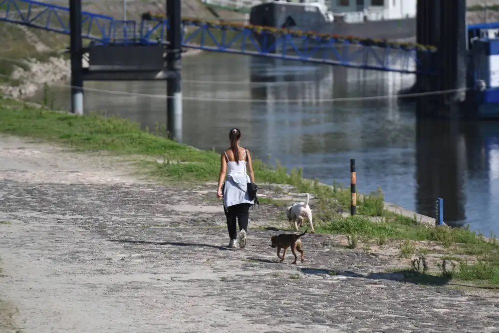 Danas sunčano i toplo, temperatura do 35 stepeni