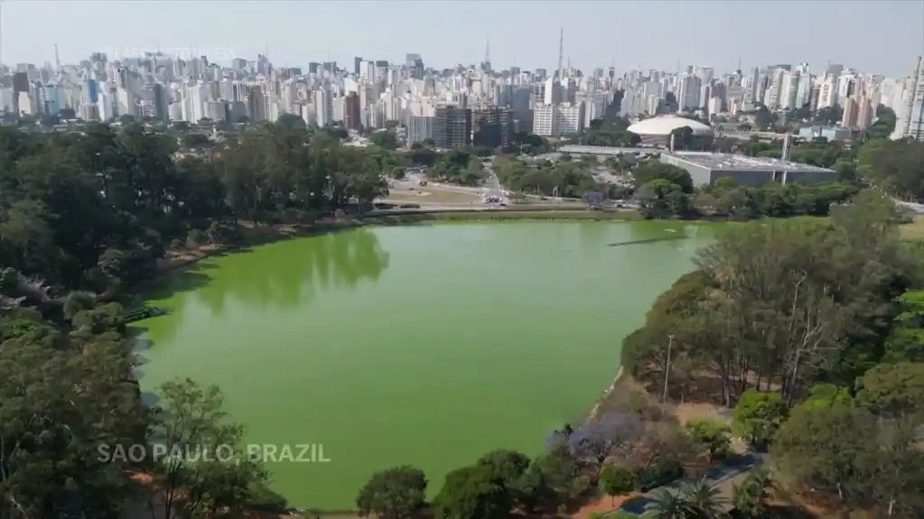 Brazilsko jezero šokira posetioce parka svojom svetlozelenom transformacijom