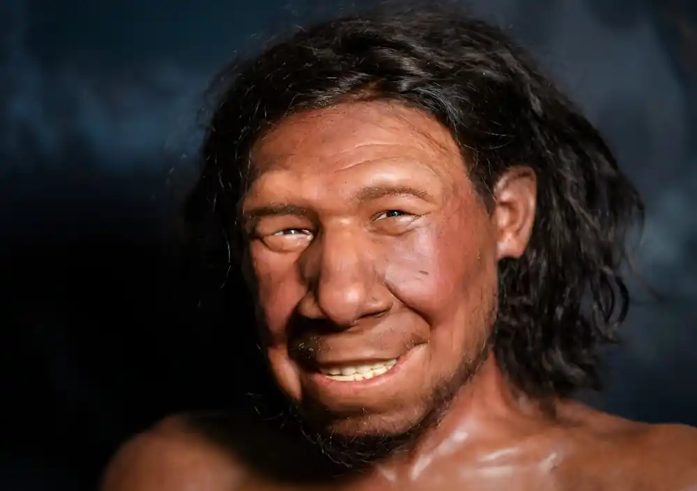 Nova istraživanja otkrivaju ključne faktore u izumiranju neandertalaca