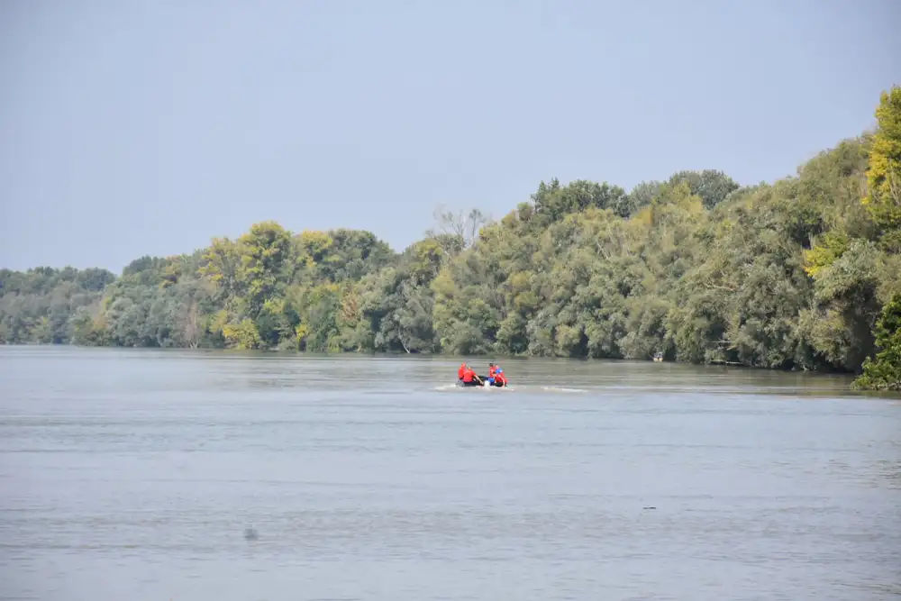 Izlio se Dunav u parku prirode u Bačkoj Palanci