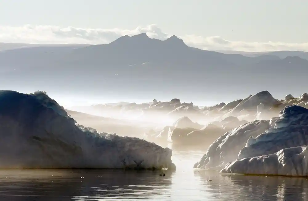 Ekstremno polarno svetlo okruženje severnog i južnog pola održava biodiverzitet, sugerišu istraživači