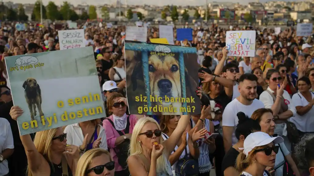 Hiljade Turaka protestuje protiv kontroverznog zakona o uklanjanju pasa lutalica