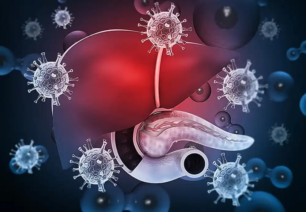 Novi model procene rizika od hepatocelularnog karcinoma kod pacijenata s hroničnim hepatitisom B