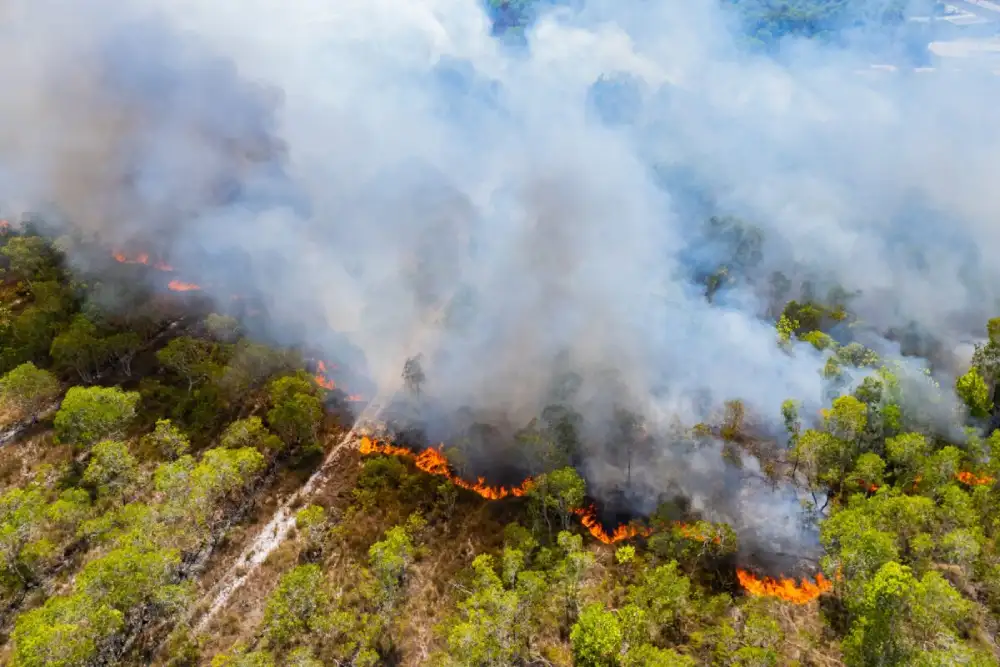 Požari u više mesta u Srbiji: Gori trava i nisko rastinje, vatrogasci na terenu