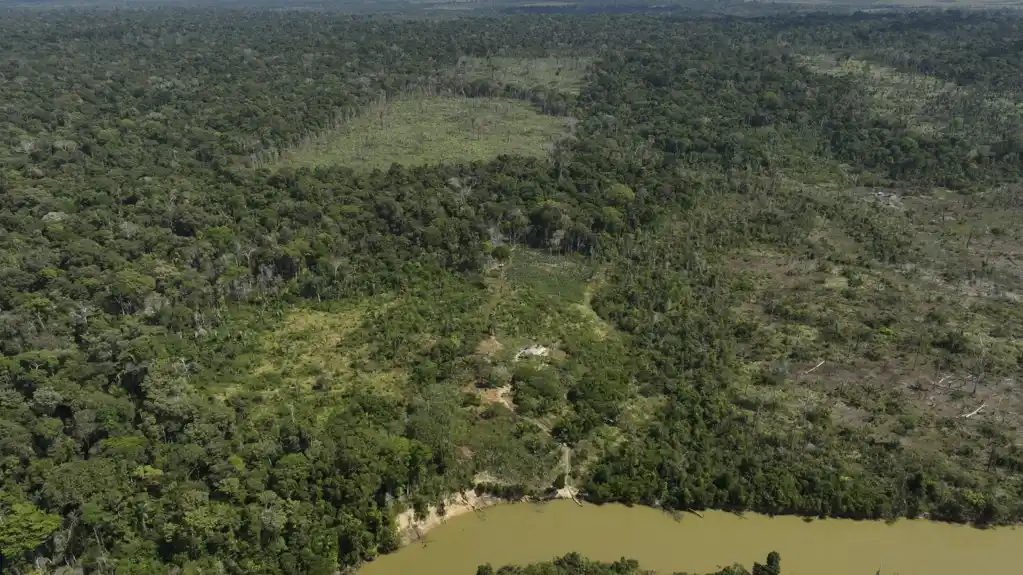 Sudija u Brazilu naređuje klanicama da plate za pošumljavanje Amazona