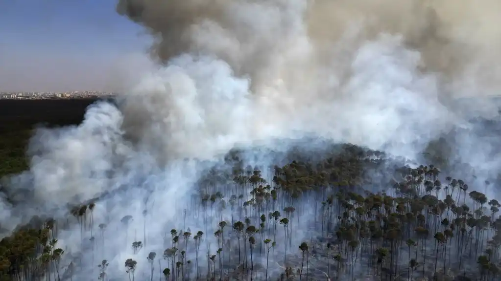 Brazil se suočava sa najgorom sušom u istoriji, požari pogoršavaju situaciju