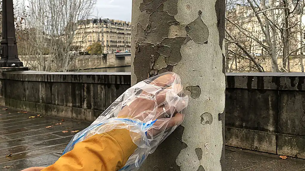 Volonteri prate parisko zagađenje uz pomoć kore drveta