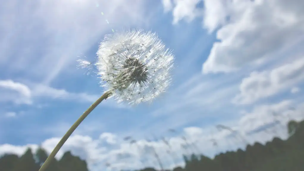 Danas sunčano i sveže, temperatura do 19 stepeni