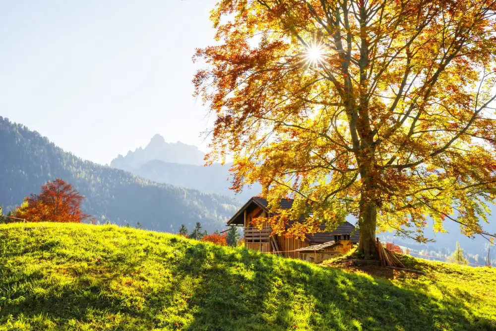 Danas pretežno sunčano, temperatura do 21 stepen