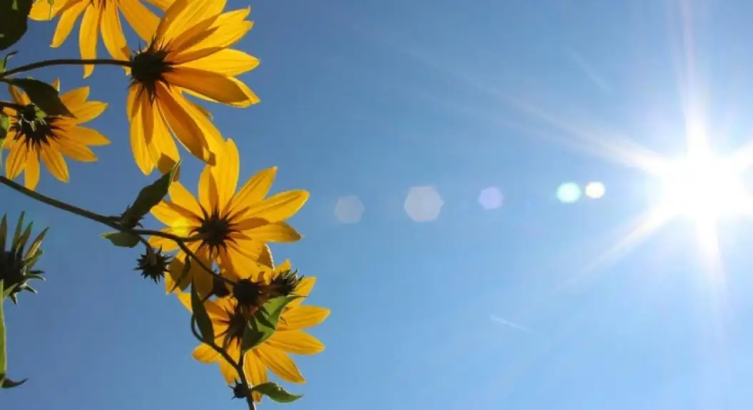 Danas pretežno sunčano i toplo, temperatura do 32 stepena