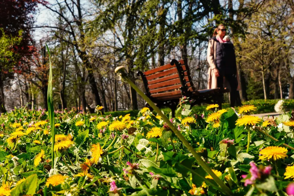 Danas pretežno sunčano, temperatura do 27 stepeni