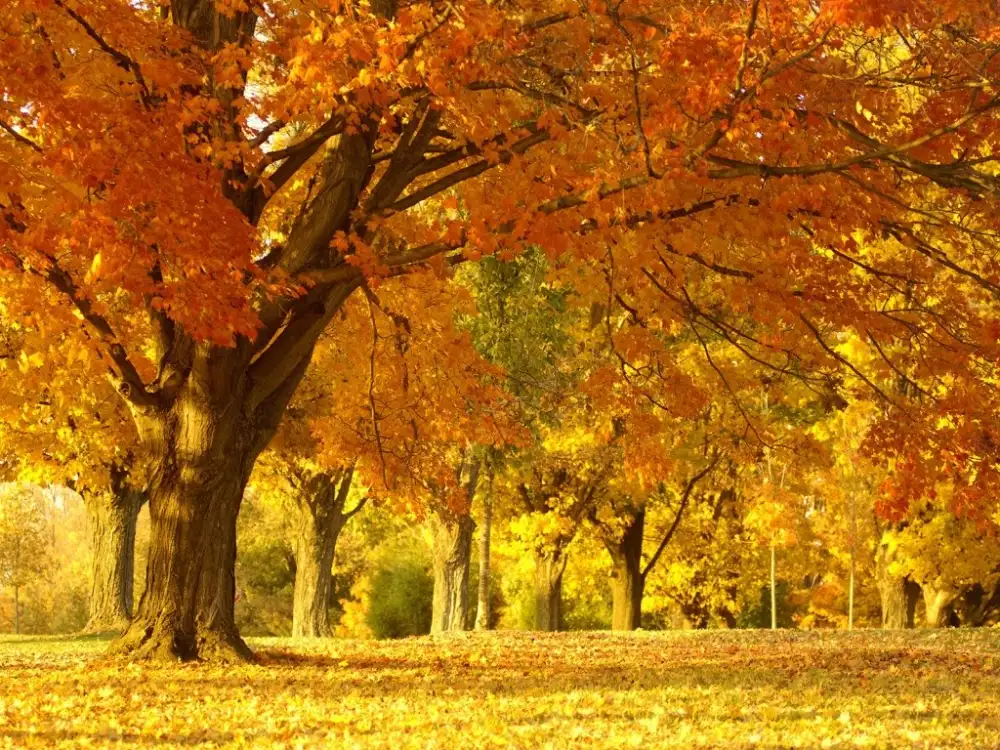 Danas pretežno sunčano, temperatura do 22 stepena