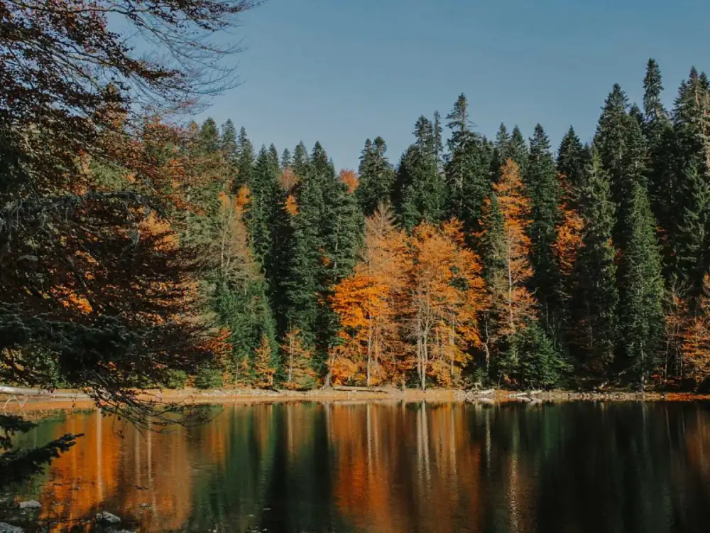 Danas oblačno, popodne moguća kiša – temperatura do 20 stepeni