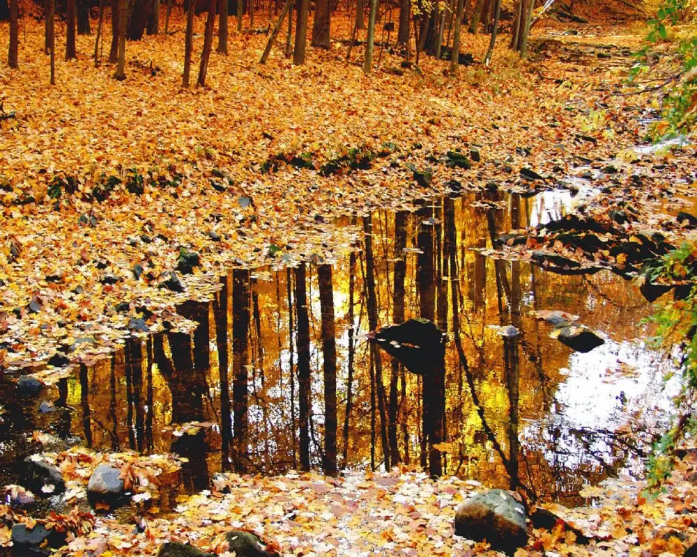 Danas oblačno sa kišom mestimično, temperatura do 9 stepeni