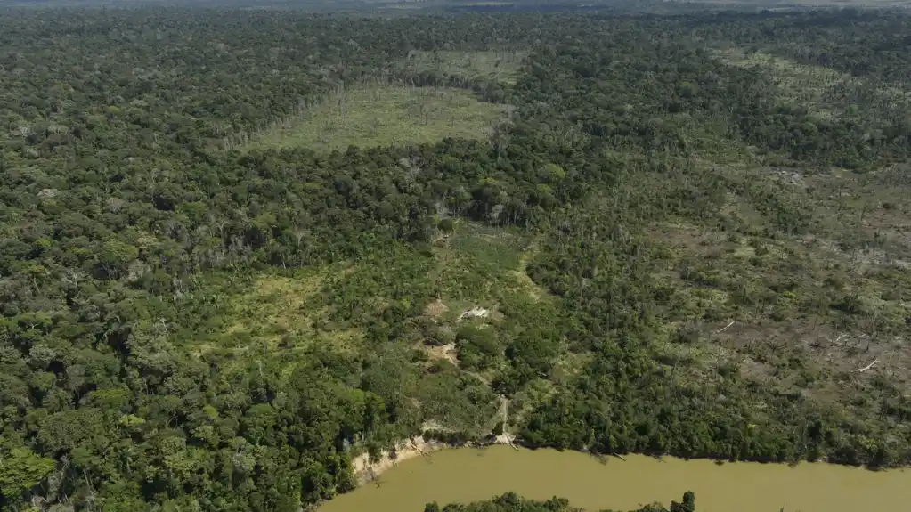 Krčenje šuma u ​​brazilskoj Amazoniji opada za skoro 31% u poređenju sa prethodnom godinom