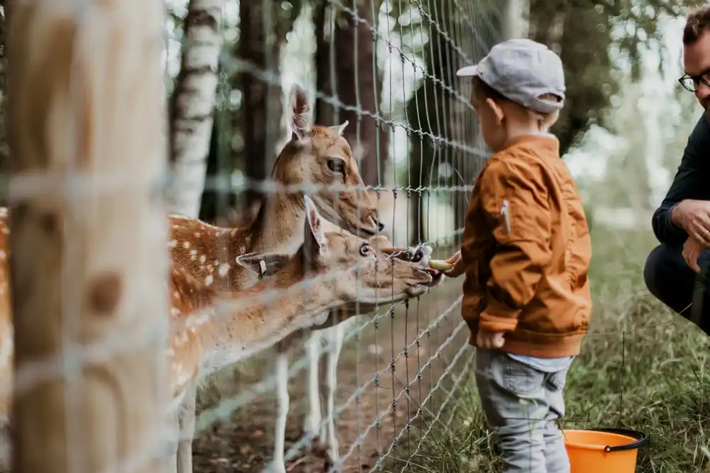 Podsticanje tišine tokom poseta zoološkom vrtu može dovesti do boljeg uvažavanja životinja, kažu istraživači