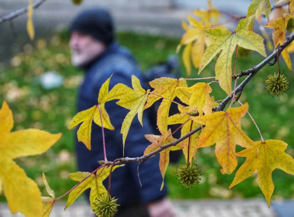 Danas oblačno i hladno, temperatura do 10 stepeni