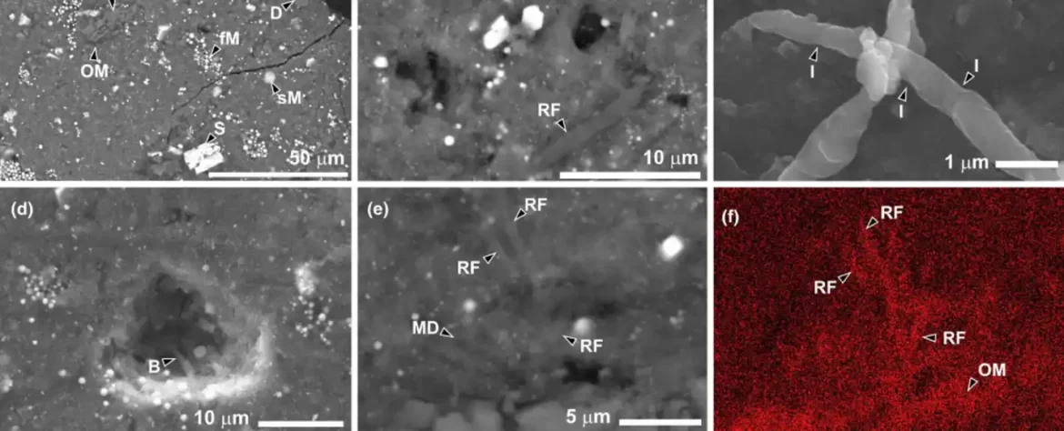 Fragment asteroida otkriva znakove života, ali nije ono što mislite