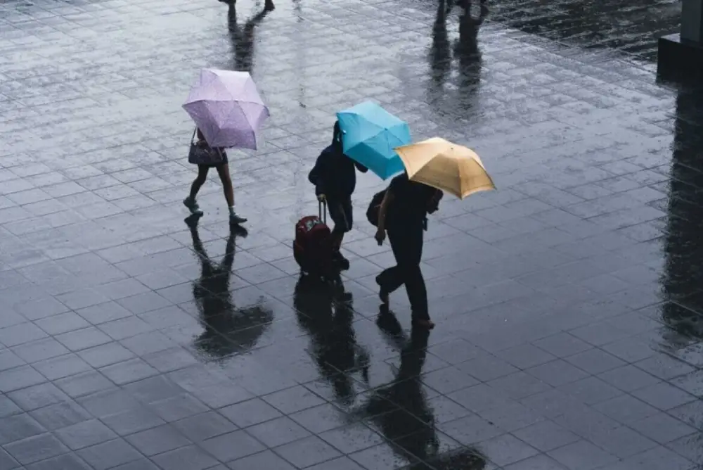 Sutra oblačno sa kišom, temperatura do 7 stepeni