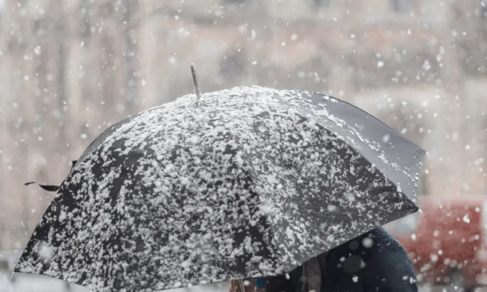 Danas oblačno sa snegom, temperatura do 5 stepeni