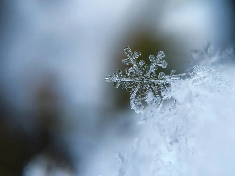 Sutra oblačno sa padavinama, temperatura do 6 stepeni