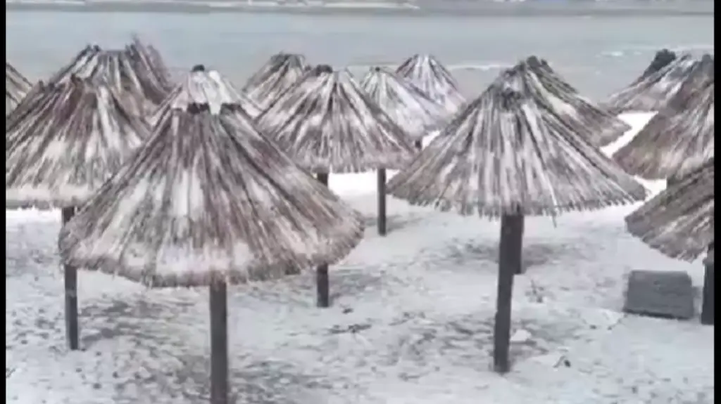 Nevreme u Crnoj Gori – vetar obara stabla u Podgorici, zavejane plaže u Ulcinju