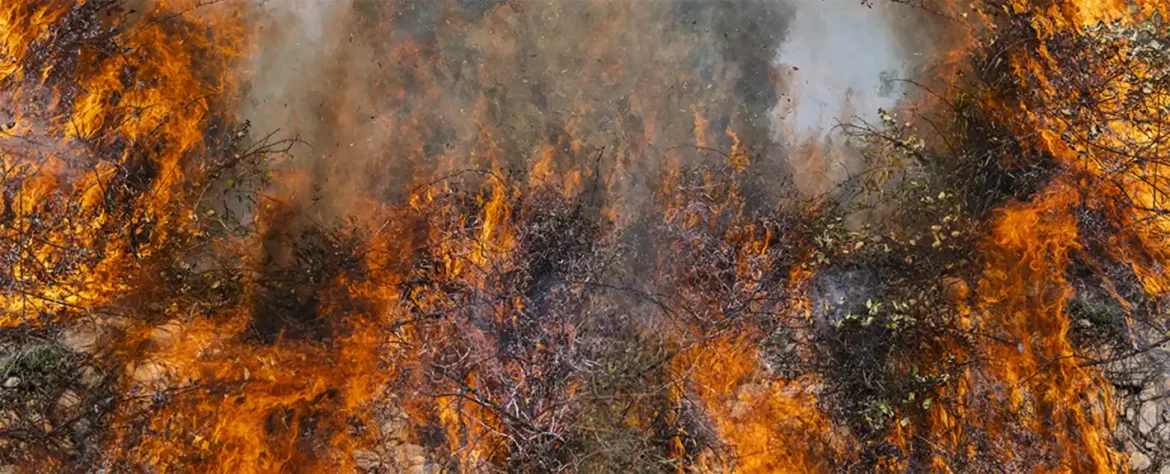 Mehurići zarobljeni u antarktičkom ledu otkrivaju vezu između klimatskih promena i šumskih požara