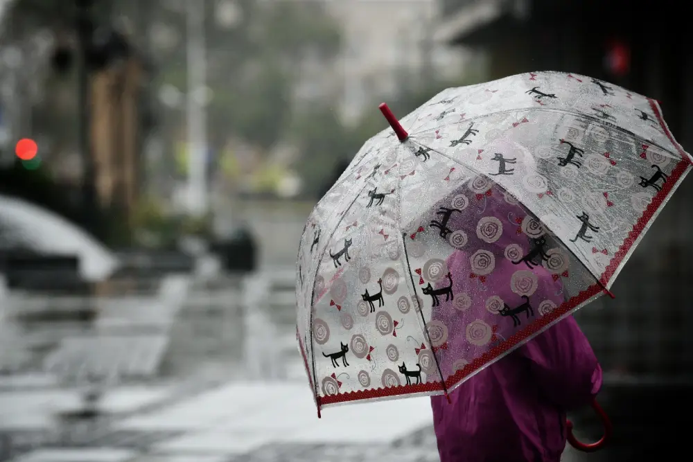 Do kraja dana oblačno uz provejavanje snega, temperatura do 5 stepeni